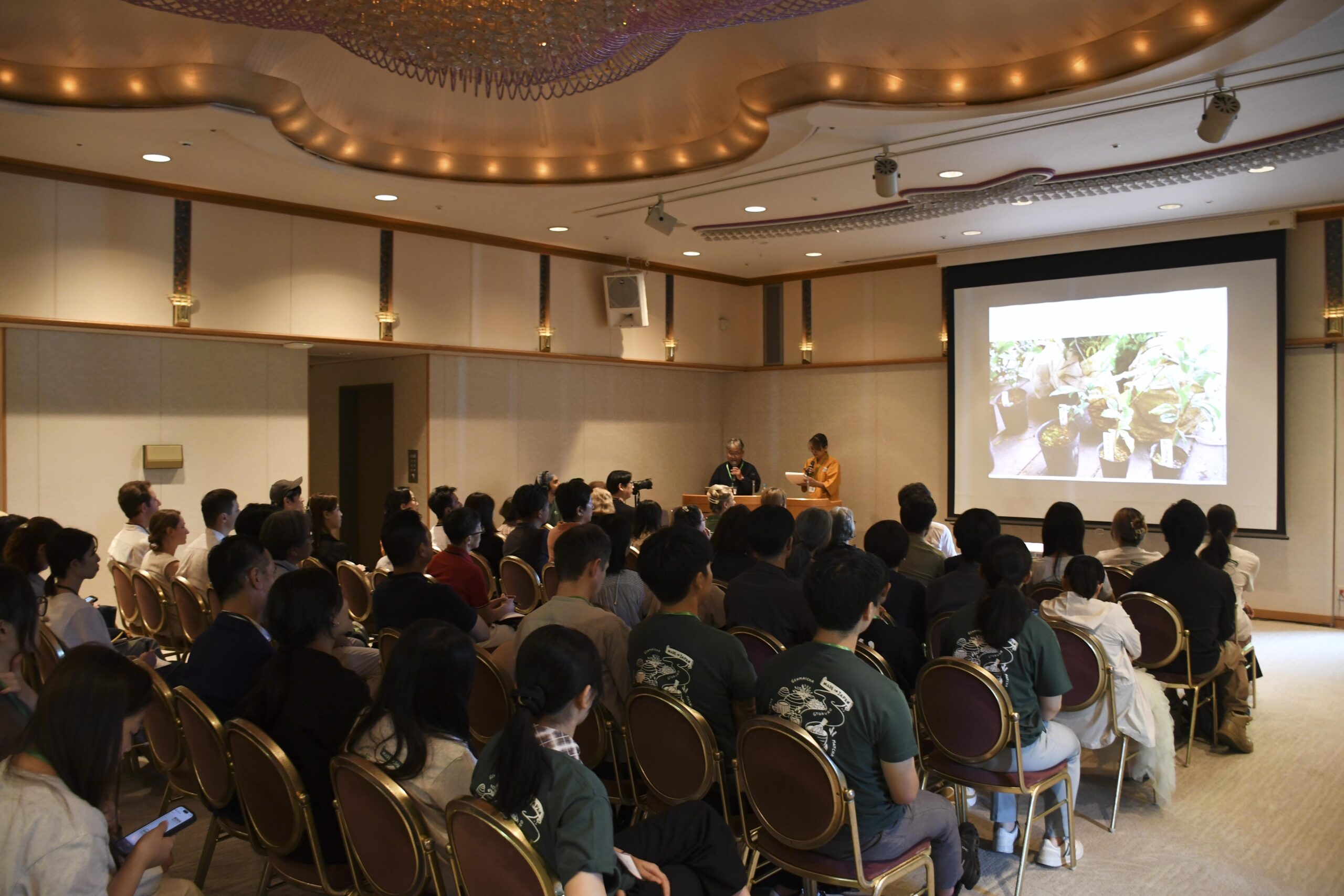 European market expansion success story